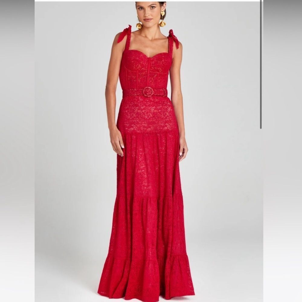 Nadine Merabi Miranda Dress ( No Belt )